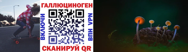 Псилоцибиновые грибы Psilocybine cubensis  Богородск 