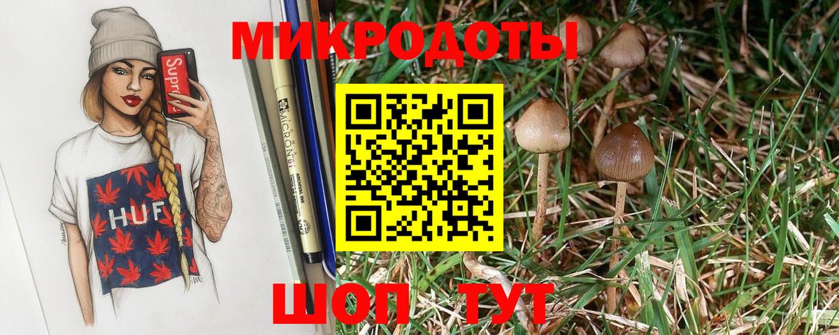 Богородск  Галлюциногенные грибы ЛСД  Вход с VPN  купить наркоту  Галлюциногенные грибы мухоморы 